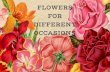 Flowers For Different Occasions