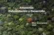 Amazonía, deforestación y desarrollo