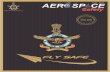 भारतीय वायुसेना-FLIGHT SAFETY