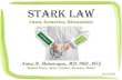 Stark Law (by Naira Matevosyan)