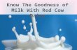 Know the goodness of quality milk with Red Cow Dairy