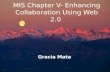 Mis chapter v  enhancing collaboration using web 2