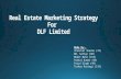 Marketing strategy of DLF