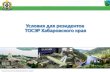 Условия для резидентов ТОСЭР Хабаровского края