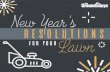 New Year'sRresolutions For Your Lawn-Canada