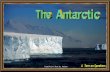 The Antarctic - animated widescreen