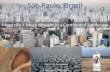 Mega drought in a mega city at a continental scale: São Paulo, Brazil