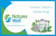 Turmeric - Nature's Wonder Drug | Sports Nutrition | Prenatal Vitamins