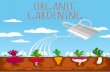 Organic Gardening Basics - Having A Plan & Right Tools