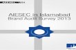 AIESEC Brand Audit Survey 2013