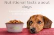 Dog Food Nutrition Facts - Dog Nutritional Requirements from DoggyFoods.com