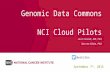 NCI Cancer Genomic Data Commons for NCAB September 2016