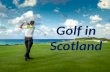 Enjoy Scotland Golf Tours | Scotia Golfing