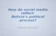 Social Media and  politics in Bolivia