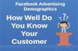 Facebook Advertising Demographic Targeting Options