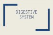 Digestive System K-12 Lesson