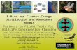 E-Bird and Climate Change distribution and abundance models, John Alexander