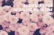 Audiences for wireless magazine