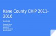Kane County CHIP 2011-2016