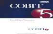 Cobit5 enabling