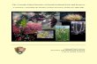 The Vascular Plant Floristics of Denali National Park and Preserve