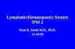 Lymphatic/hematopoetic system IPM 2