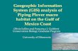 Geographic Information System (GIS) analysis of Piping Plover ...