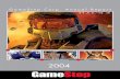GameStop Corp. Annual Report