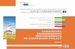 FINANCIAL ENGINEERING INSTRUMENTS IN COHESION POLICY