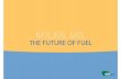 Natural gas, the future of fuel