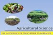 Why is agriculture important to Barbados