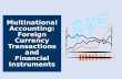 Foreign currency transactions and financial instruments
