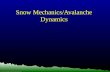 Snow Mechanics / Avalanche Dynamics