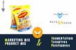 Nestle Maggi : Marketing Mix, Product Mix, Segmentation, Targeting and Positioning