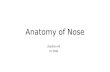 Anatomy of nose, Paranasal Sinuses