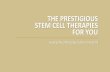Stem cell therapies   english final