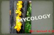 Mycology Introduction