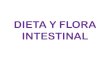 Dieta y flora intestinal