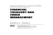Financial,Treasury and Forex Management