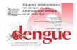Situación epidemiológica del dengue en las Américas, con enfoque ...