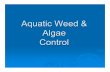 Aquatic Weed & Algae Control