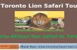 African lion safari toronto