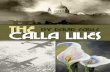 The Calla Lilies