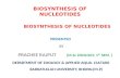 Biosynthesis of nucleotides