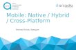 2015-12-12 | AzovDevMeetup 2015 | Мобильная разработка: Native, Hybrid, Cross-Platform? | Виктор Котов