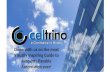 Accounts Payable Automation - Celtrino