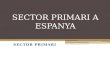 Sector Primario y Paisajes agrarios en España
