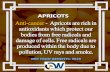 Health benefits-of-apricots-#29 - CitronWorld.in