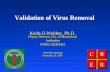 Validation virus removal 092600 kw