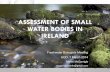 Current ecological status of small water bodies in Ireland